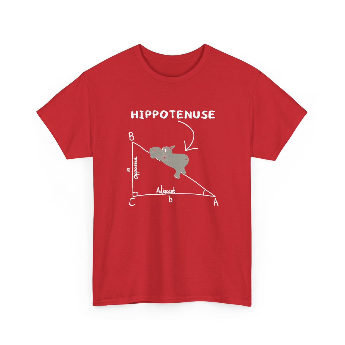 Geometry Hippotenuse