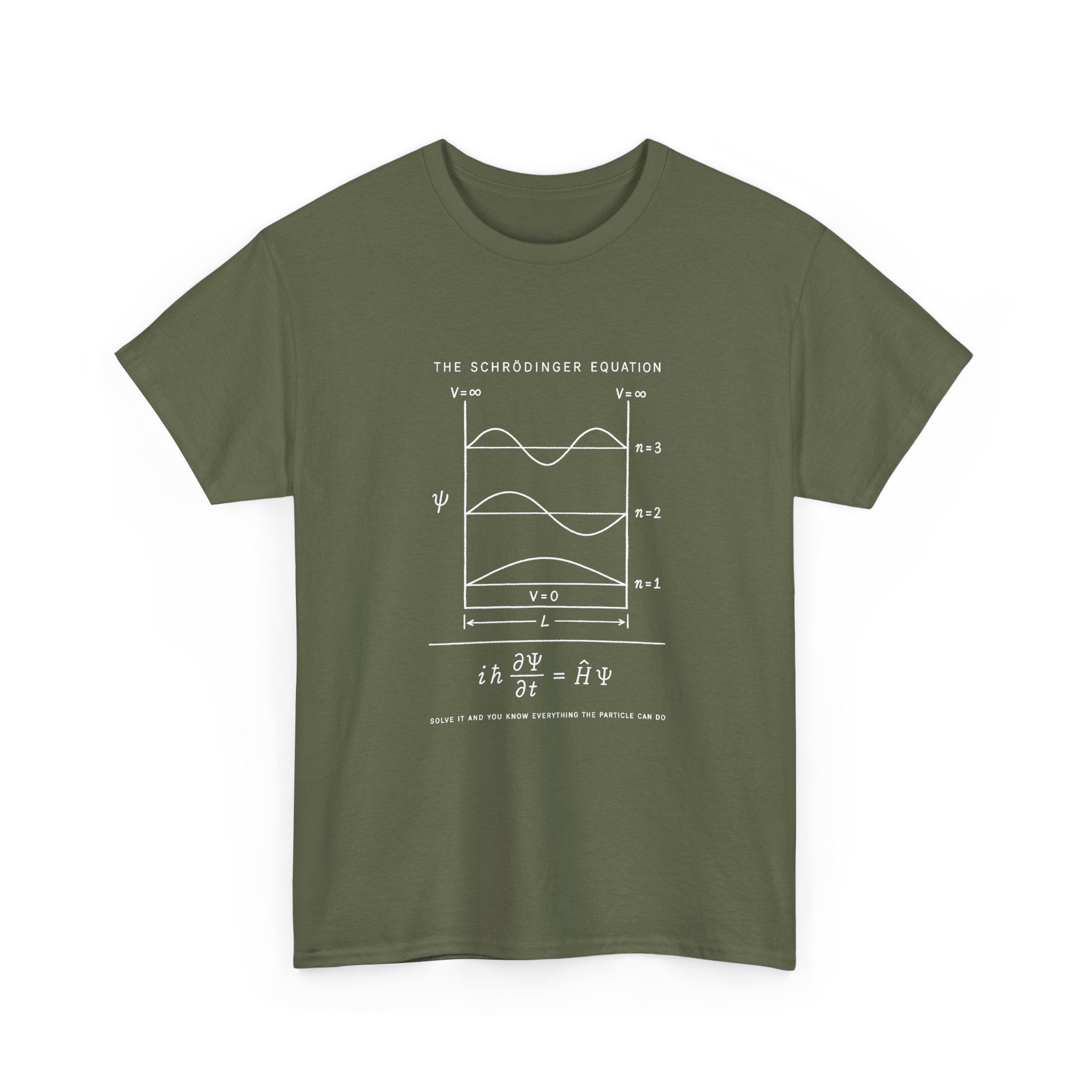 The Schrödinger Equation