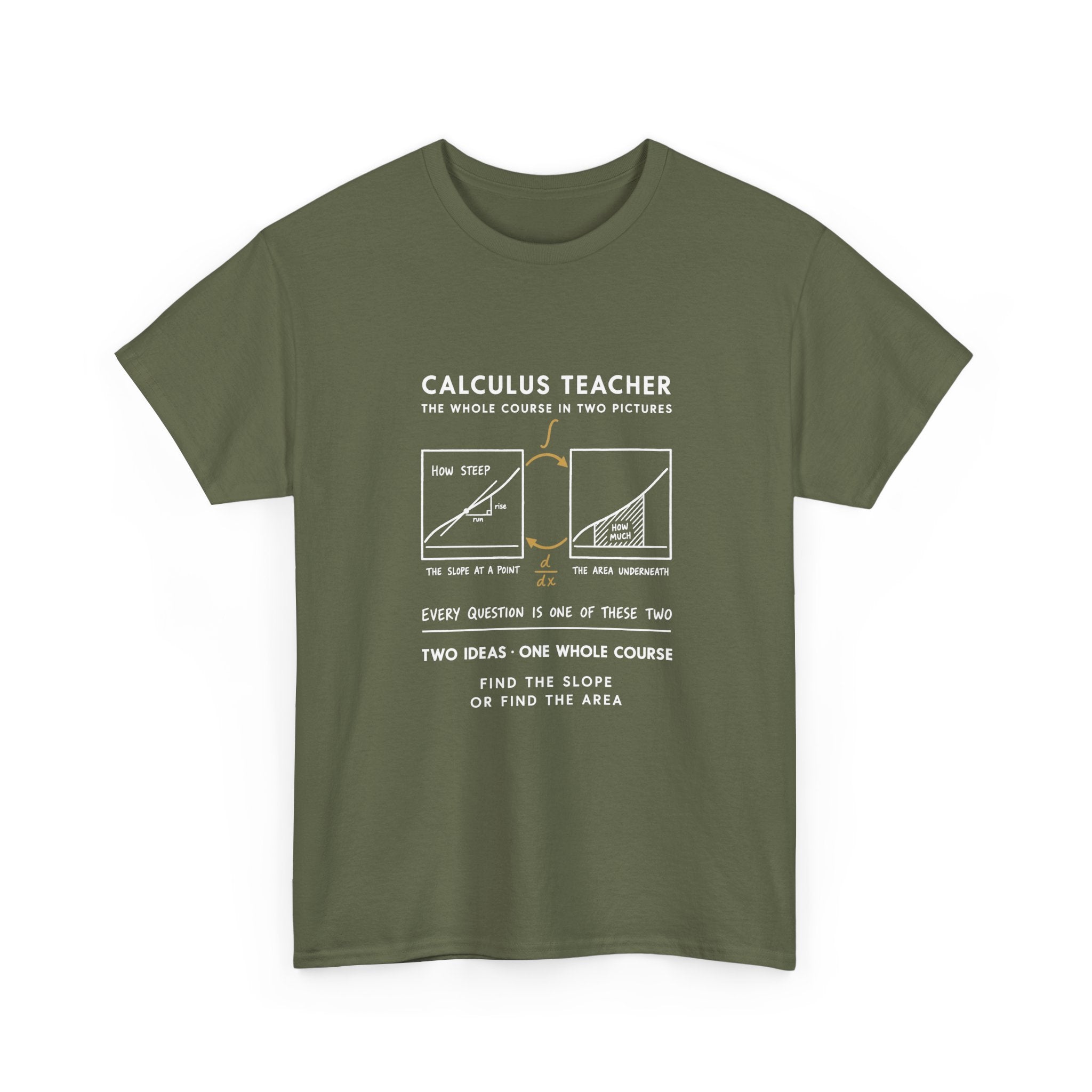 Calculus Teacher