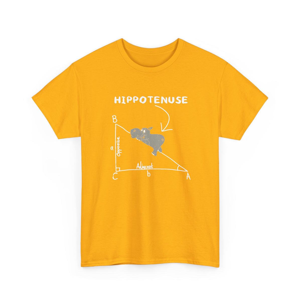 Geometry Hippotenuse