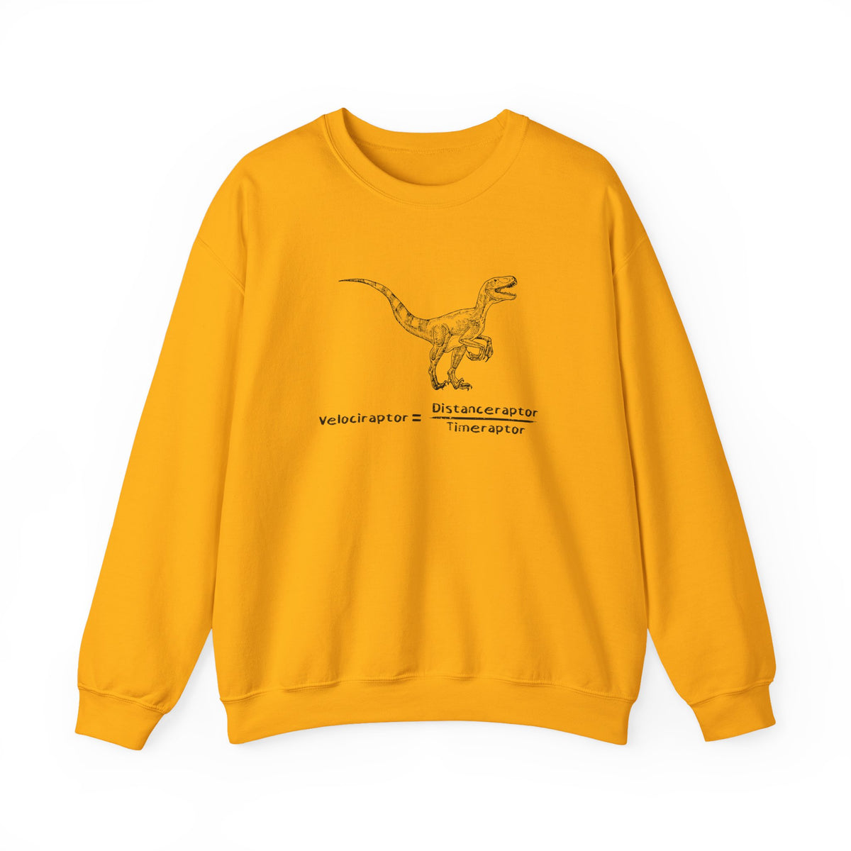 Raptor Speed Equation Sweatshirt