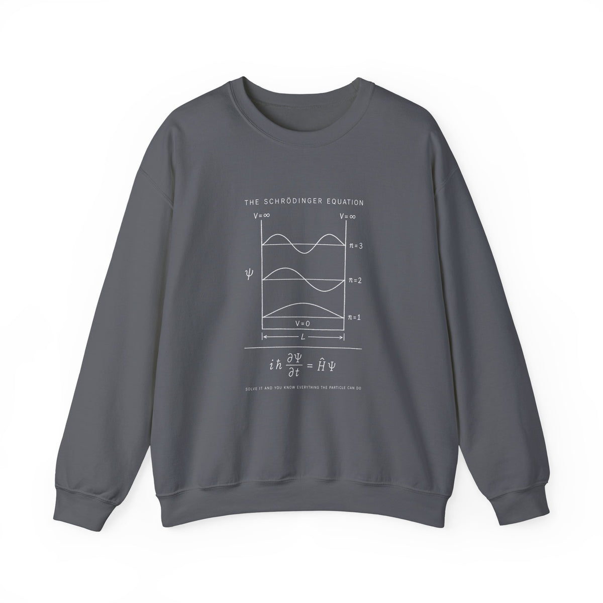 The Schrödinger Equation Sweatshirt