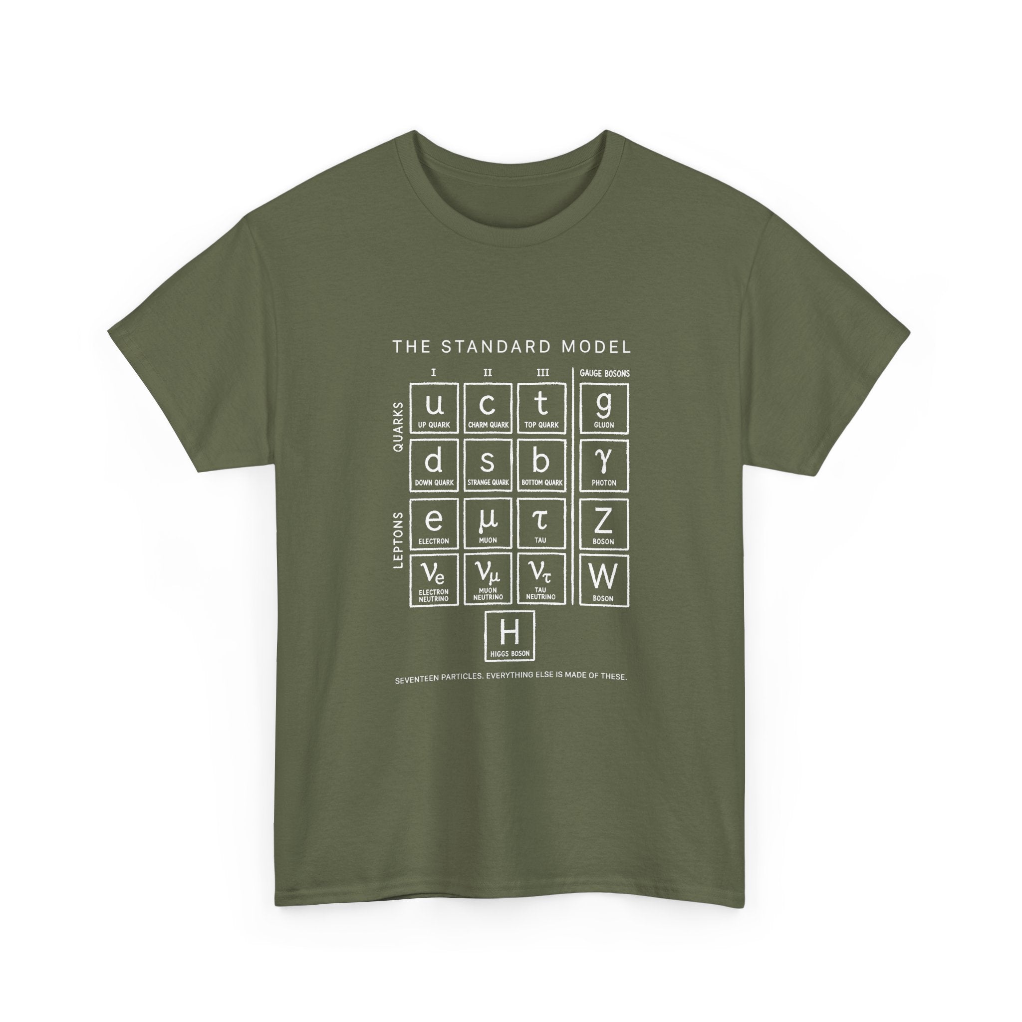 The Standard Model