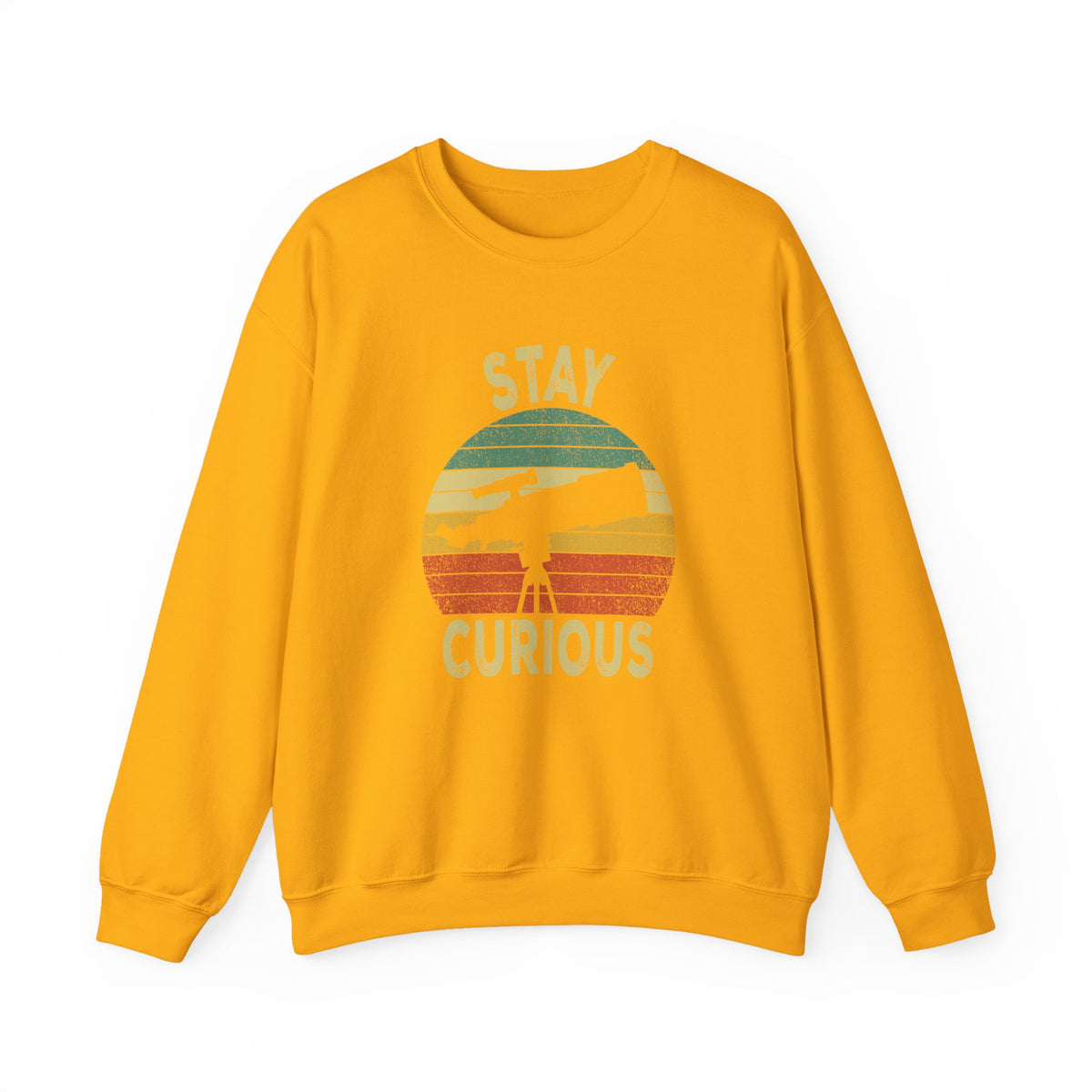 Stay Curious Sweatshirt