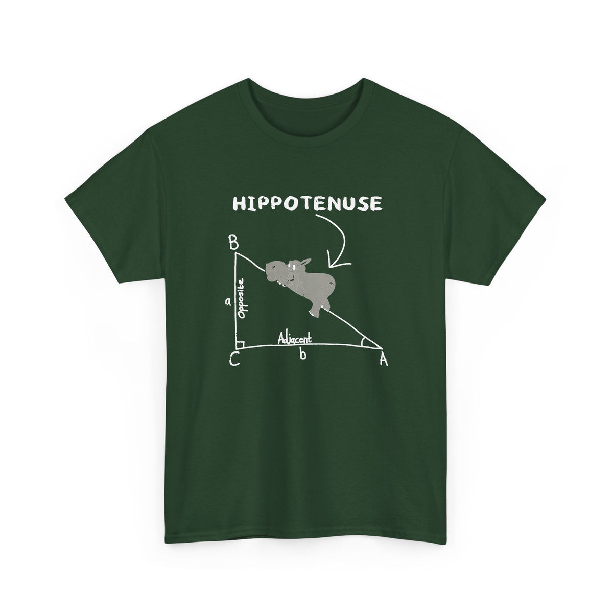 Geometry Hippotenuse