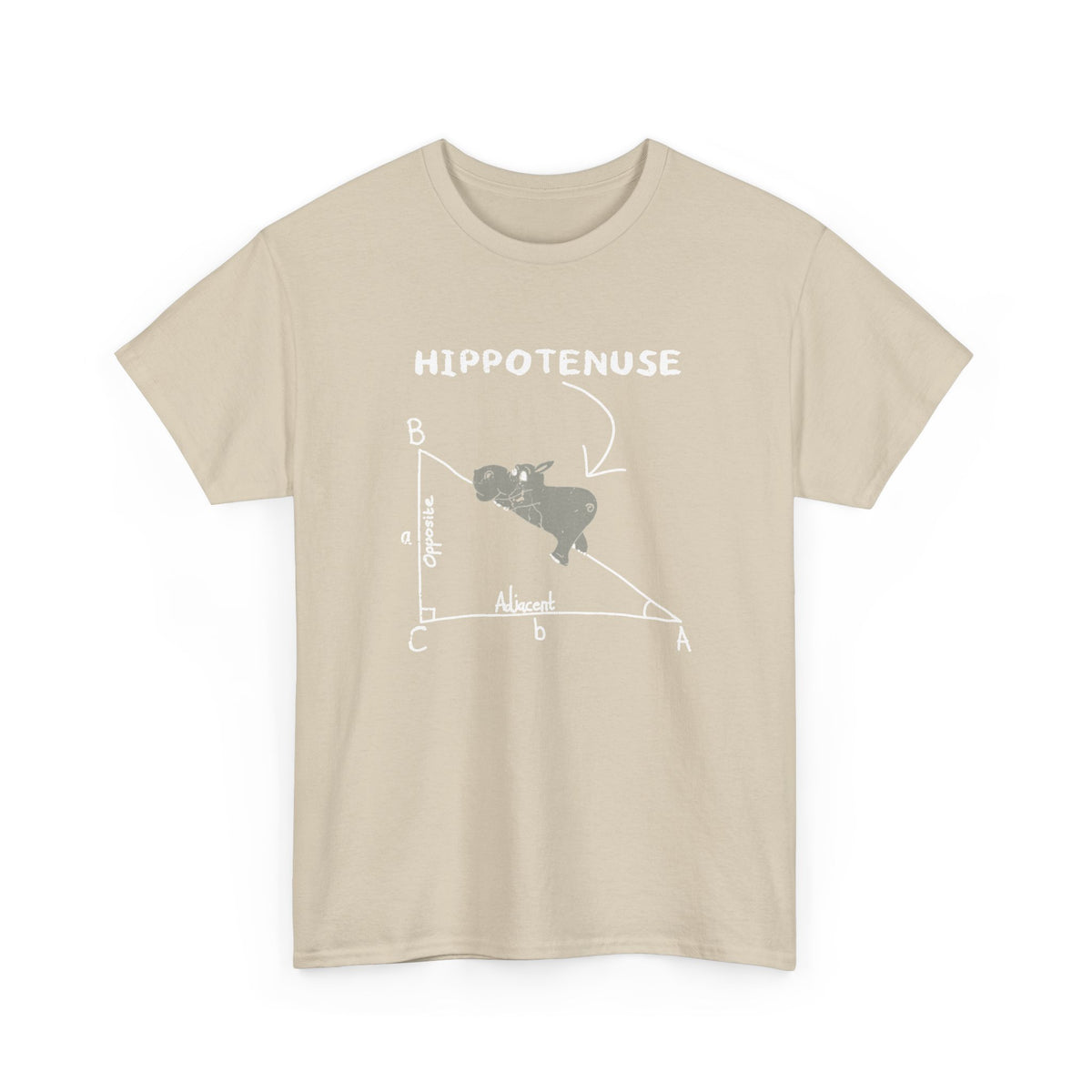 Geometry Hippotenuse