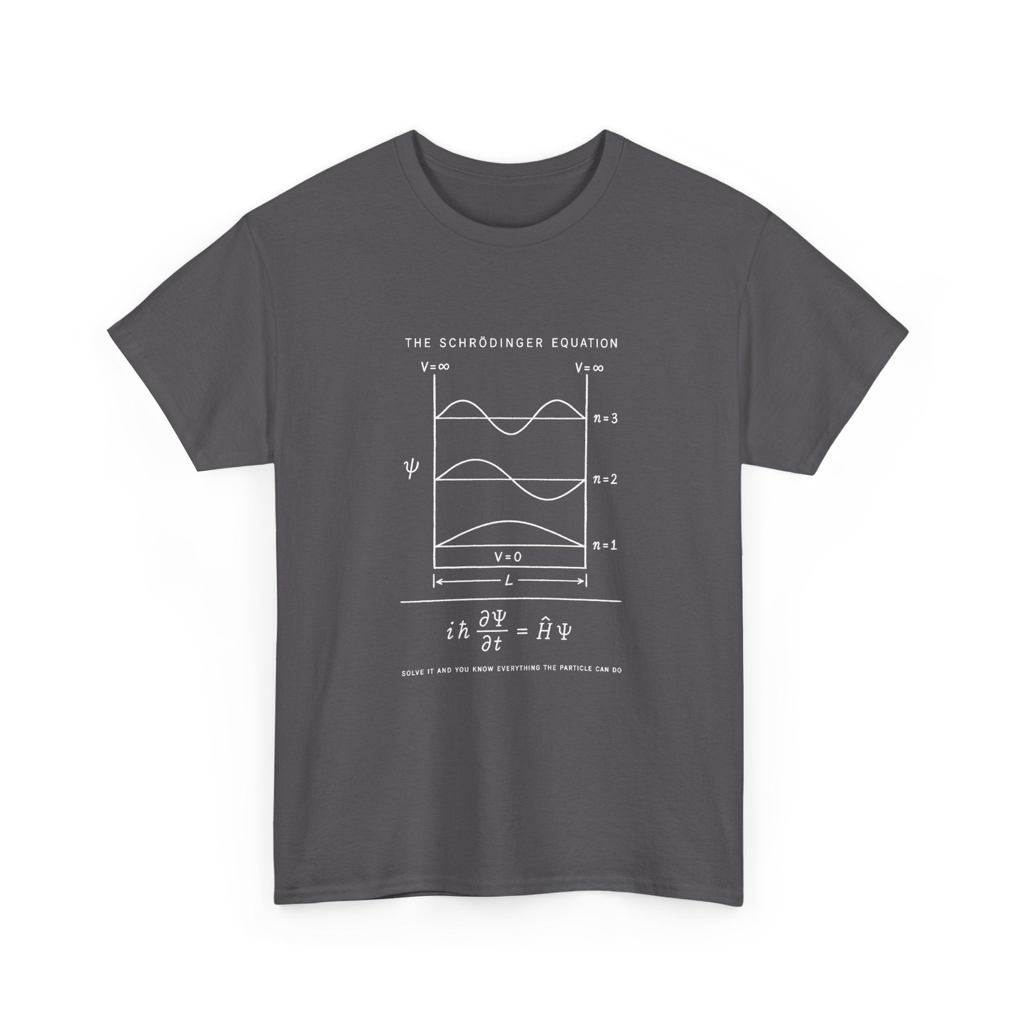 The Schrödinger Equation
