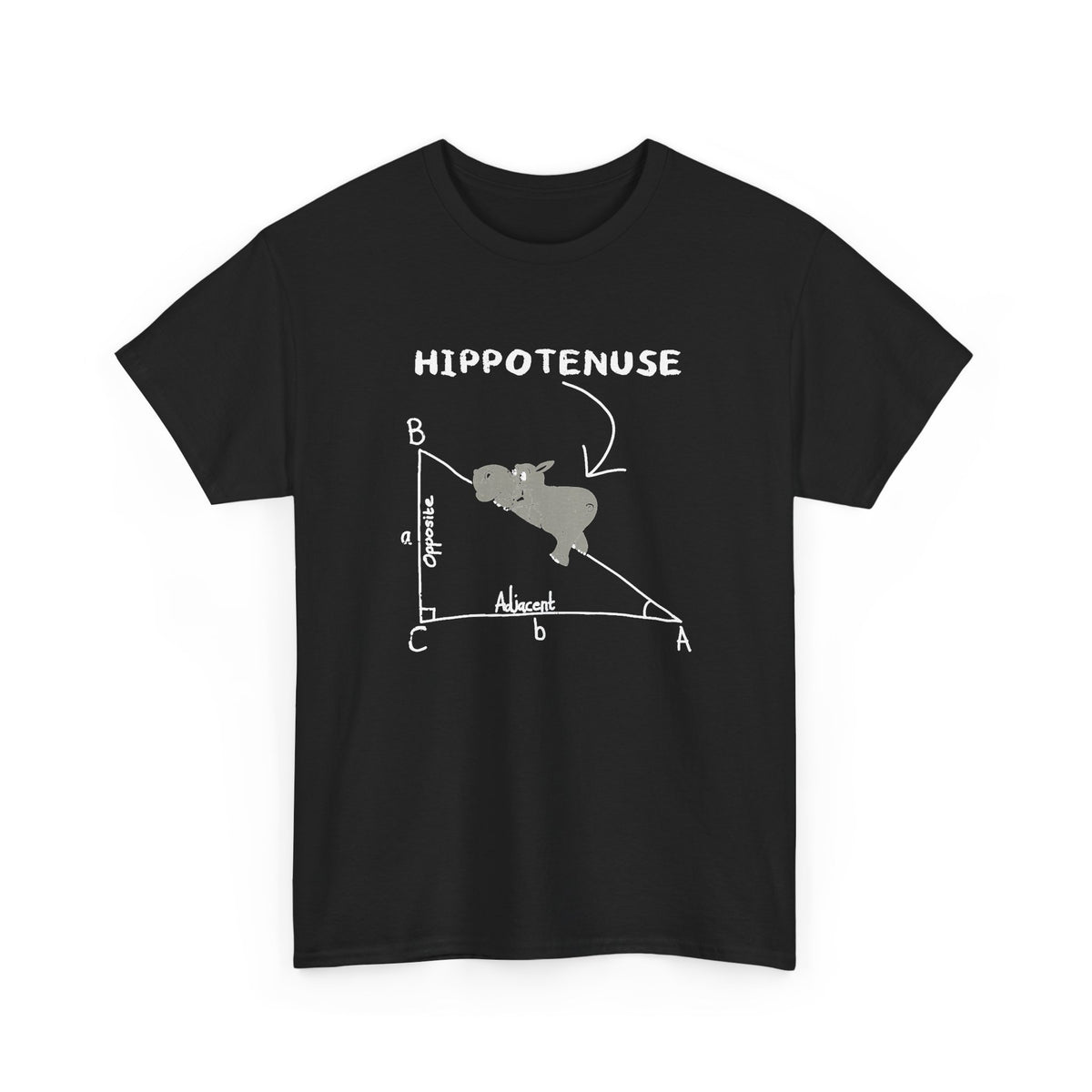 Geometry Hippotenuse