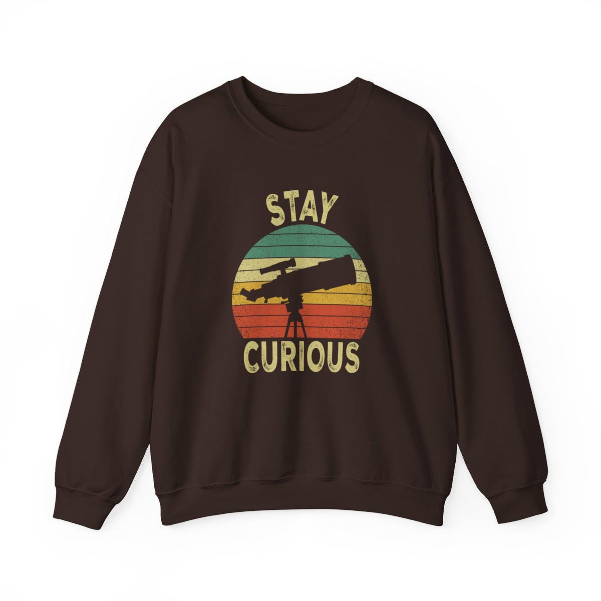 Stay Curious Sweatshirt