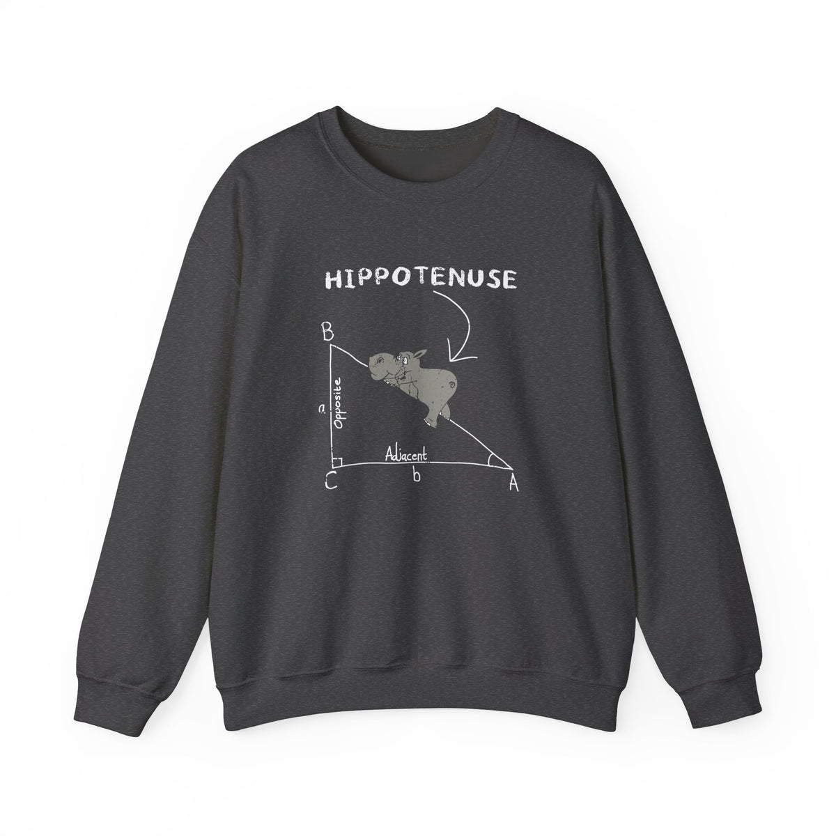Geometry Hippotenuse Sweatshirt