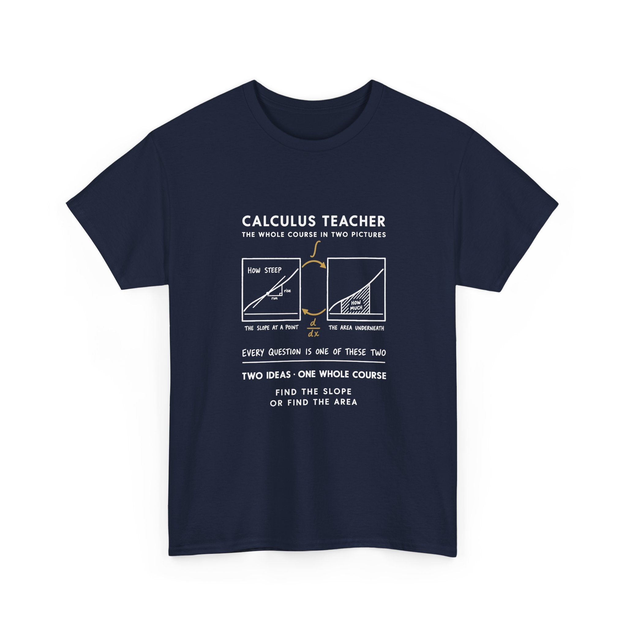 Calculus Teacher