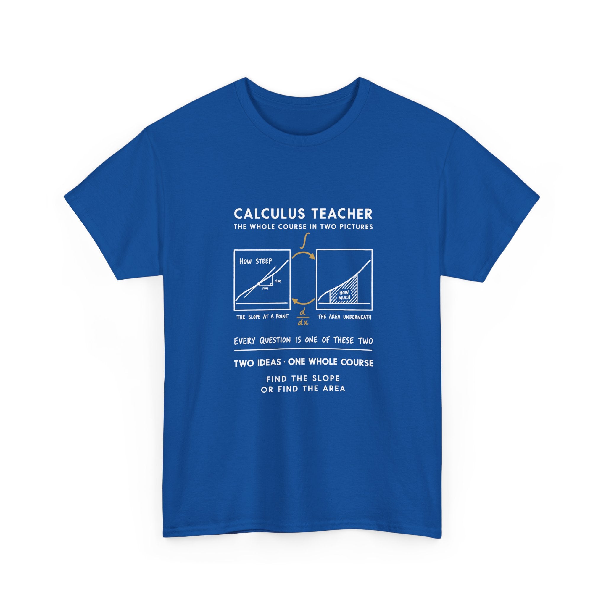 Calculus Teacher