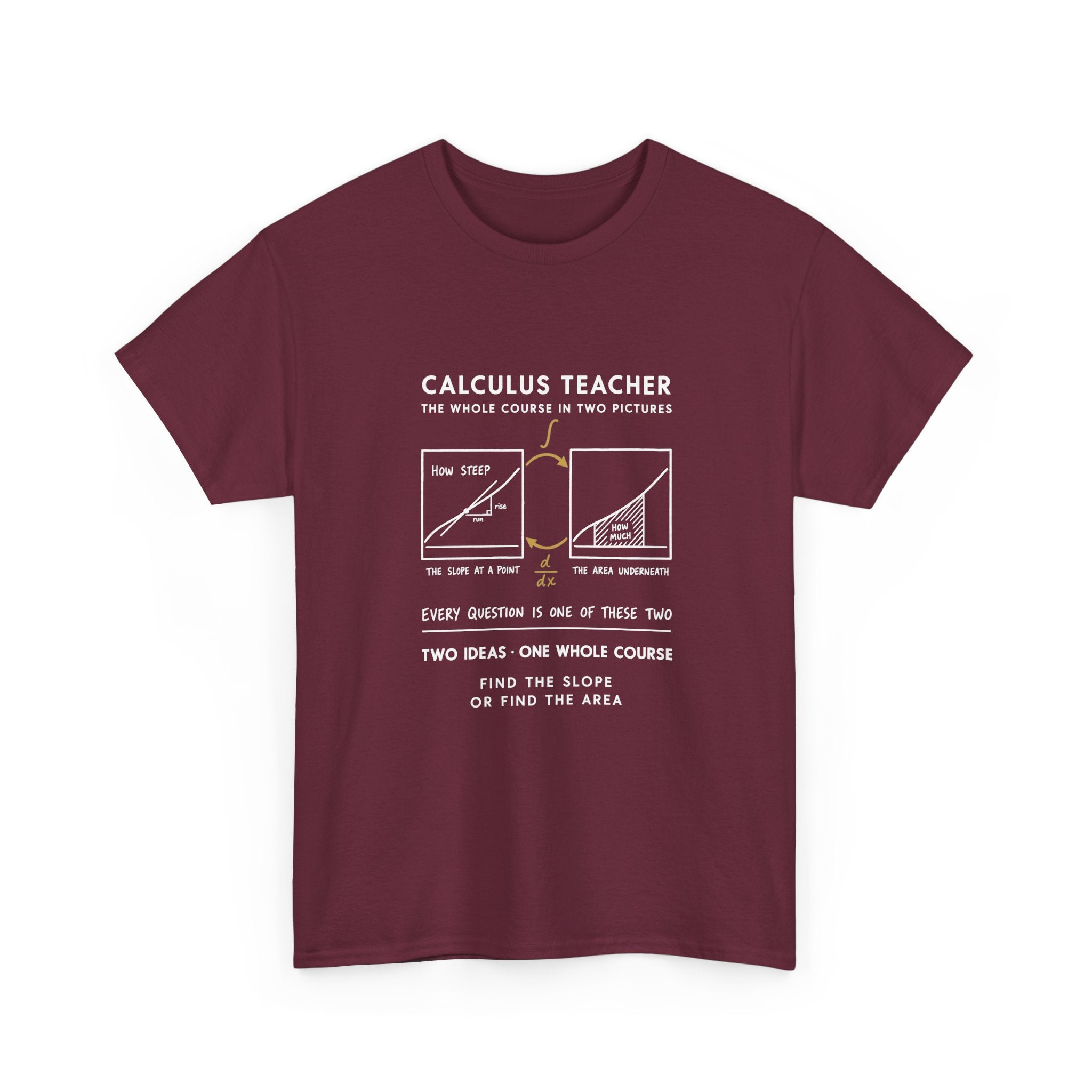 Calculus Teacher