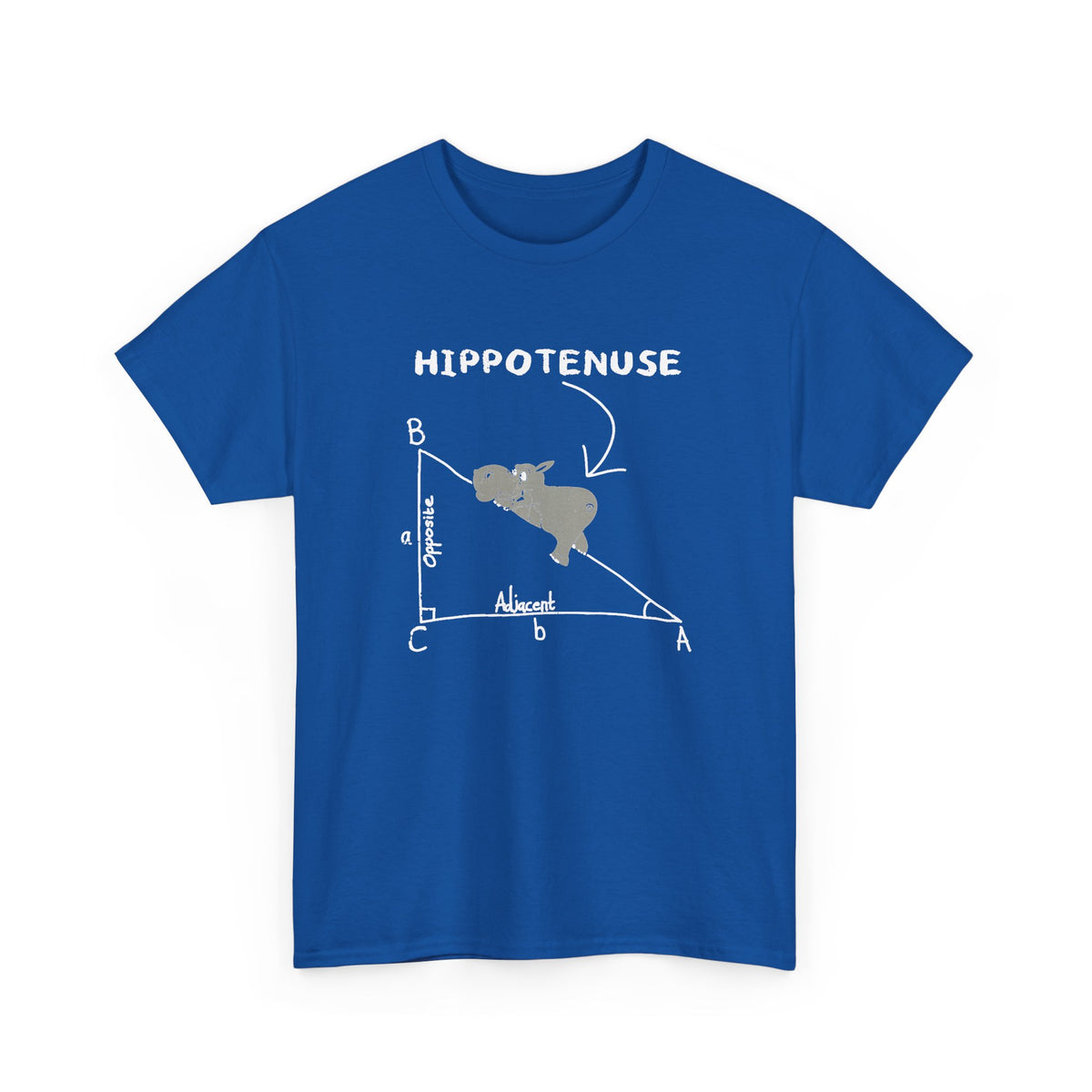 Geometry Hippotenuse
