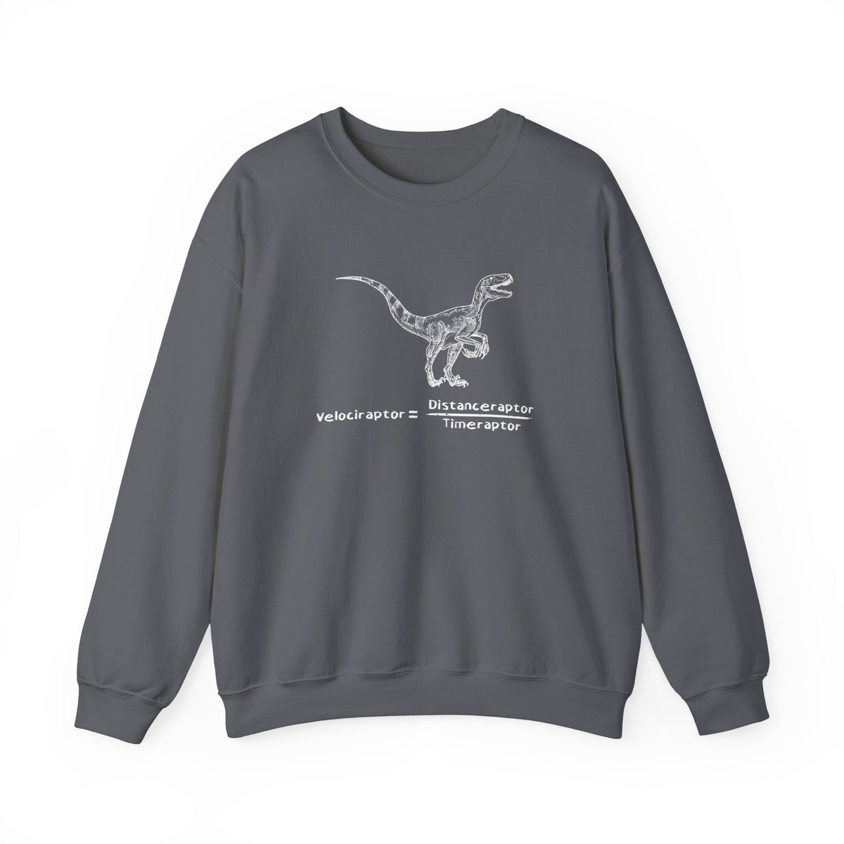 Raptor Speed Equation Sweatshirt