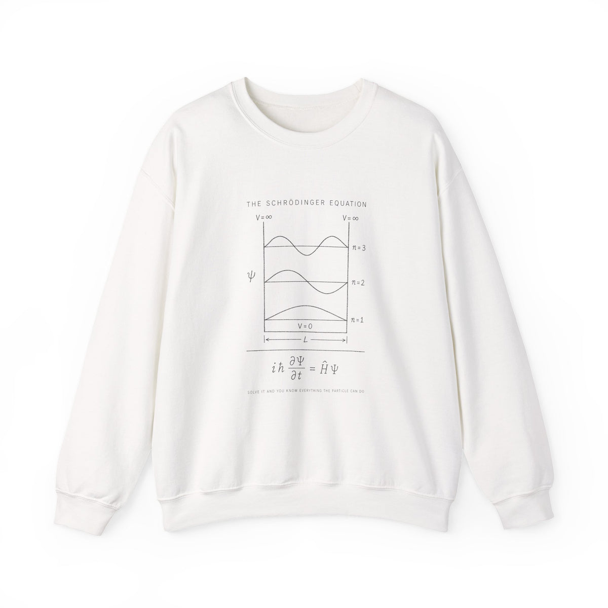 The Schrödinger Equation Sweatshirt