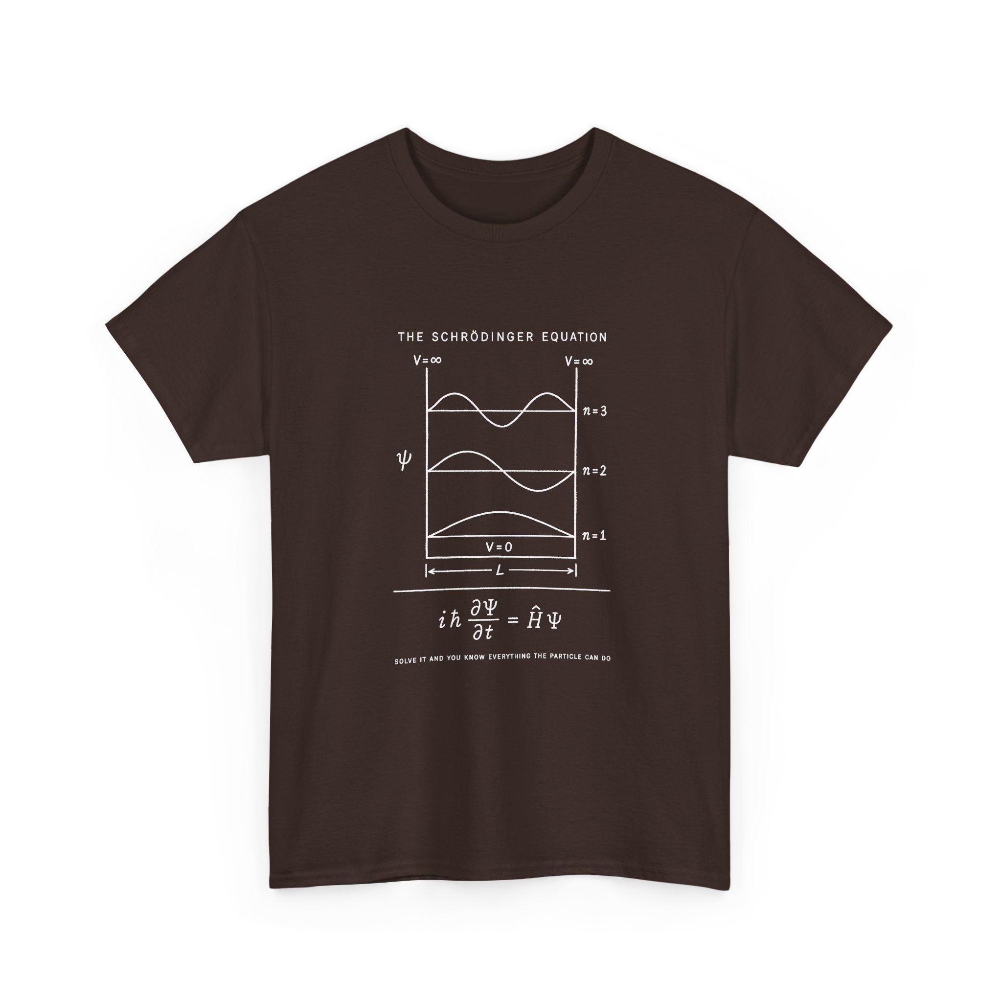 The Schrödinger Equation