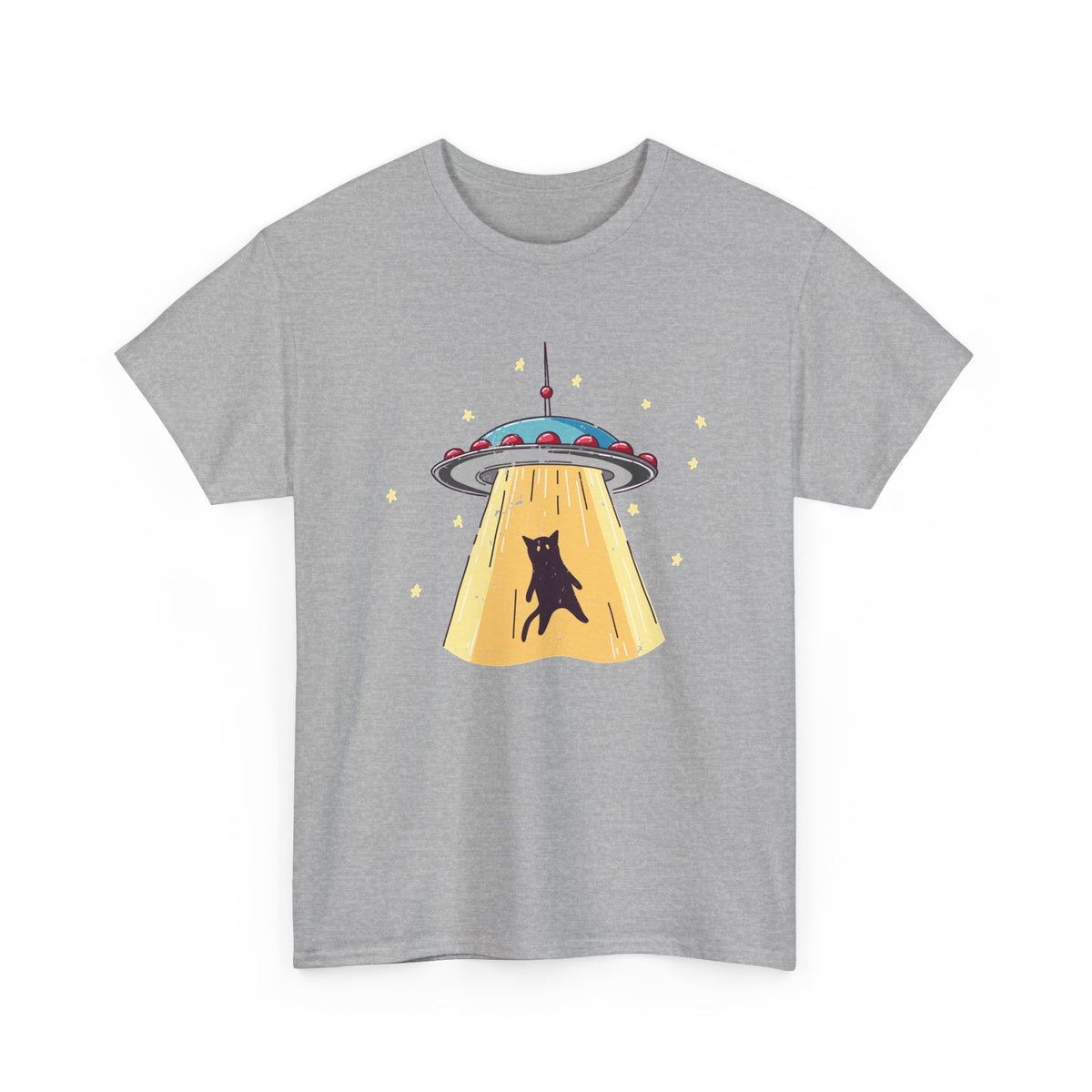 Cat UFO Abduction