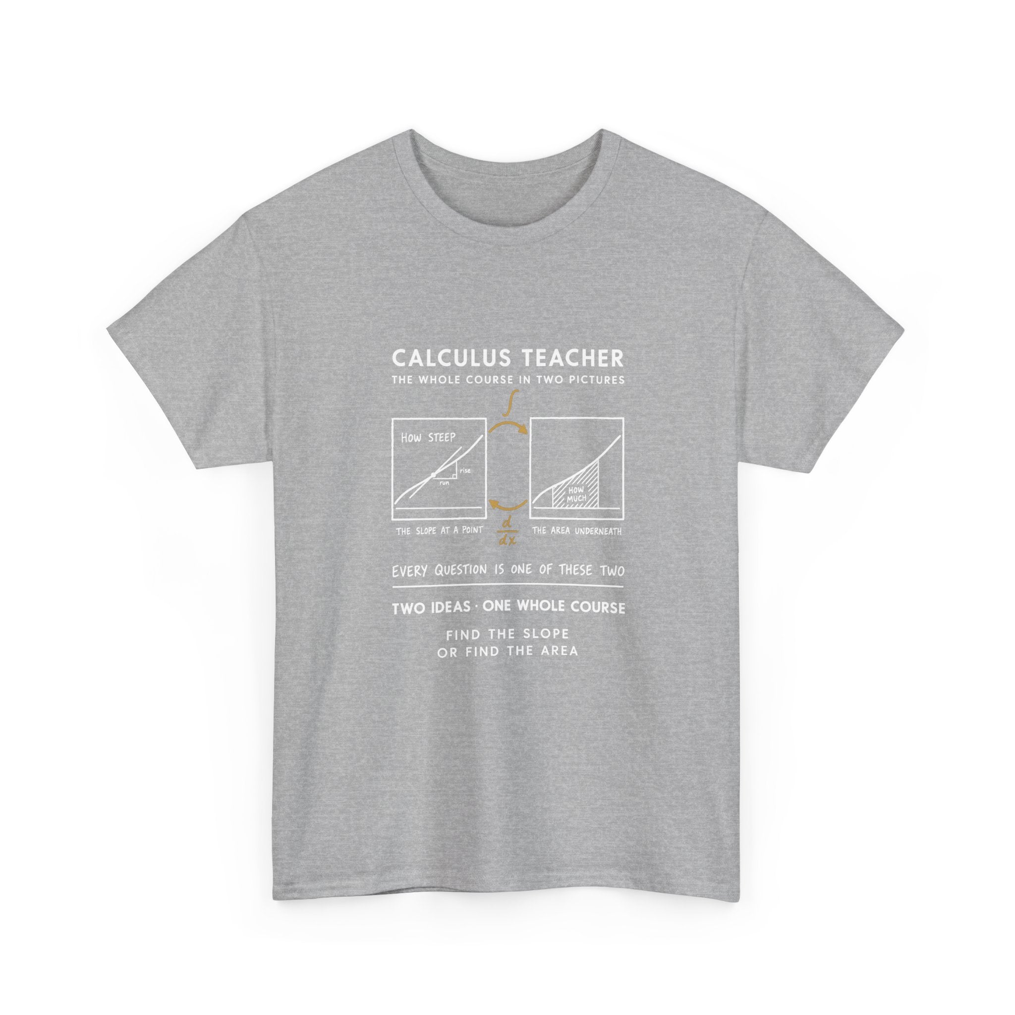 Calculus Teacher