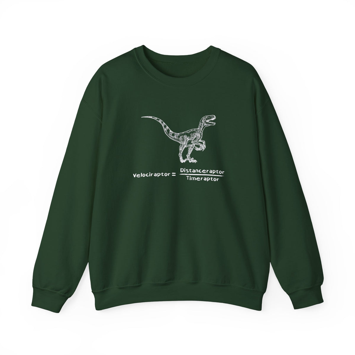 Raptor Speed Equation Sweatshirt