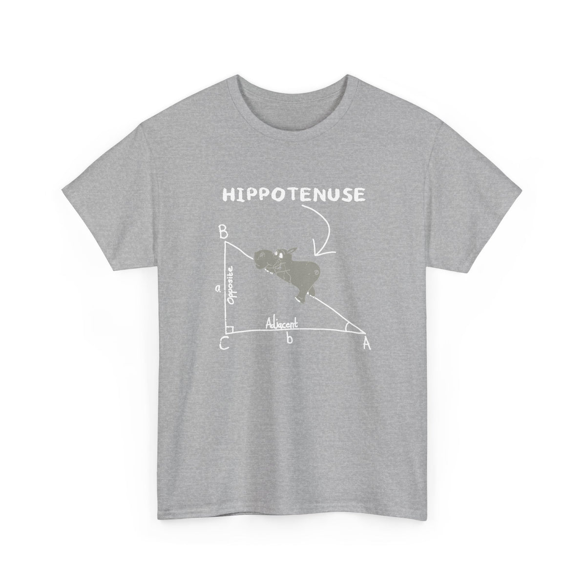 Geometry Hippotenuse