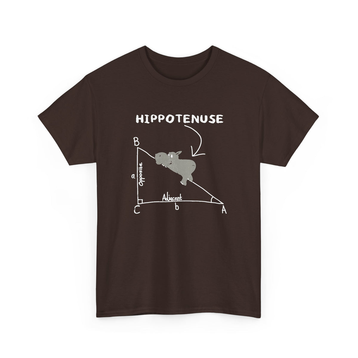 Geometry Hippotenuse