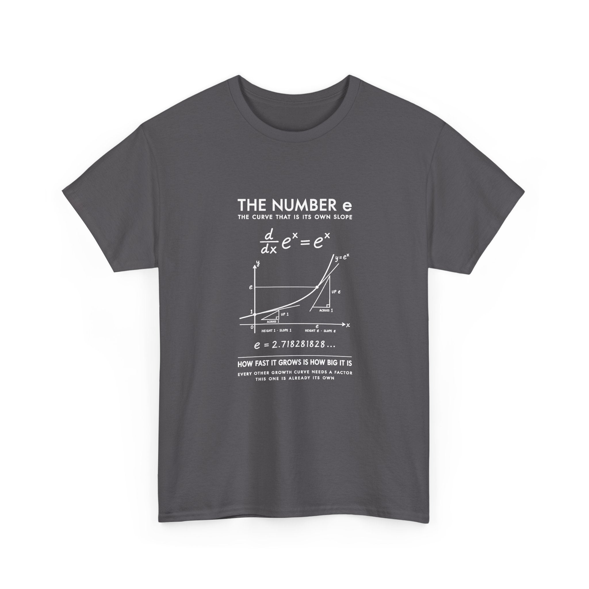 The Number e