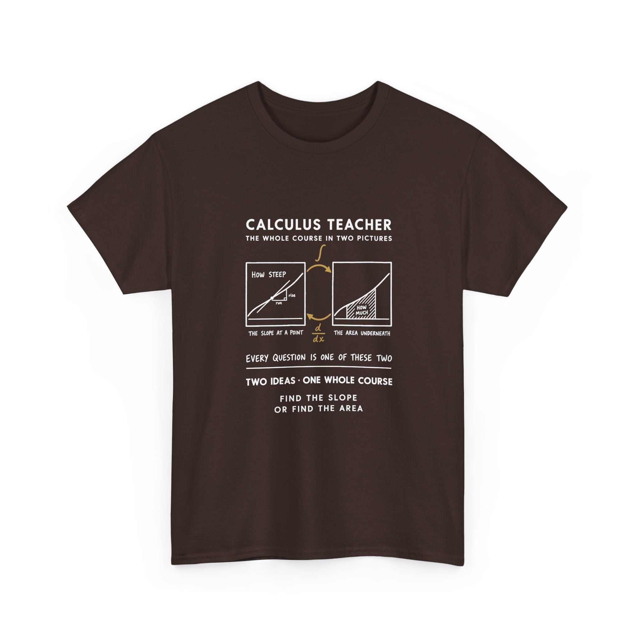 Calculus Teacher