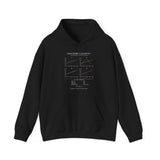 Anscombe's Quartet Hoodie
