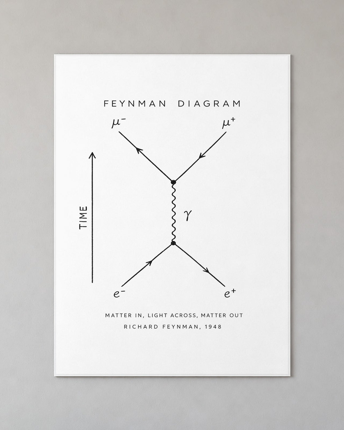 Feynman Diagram Poster on a wall
