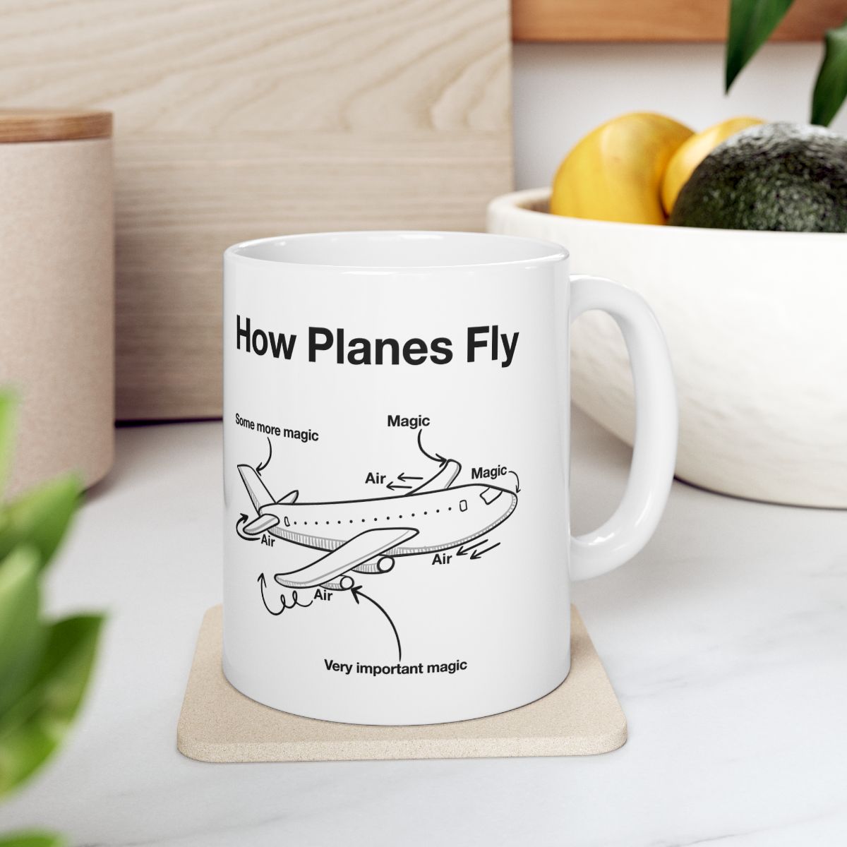 How Planes Fly Mug context-4
