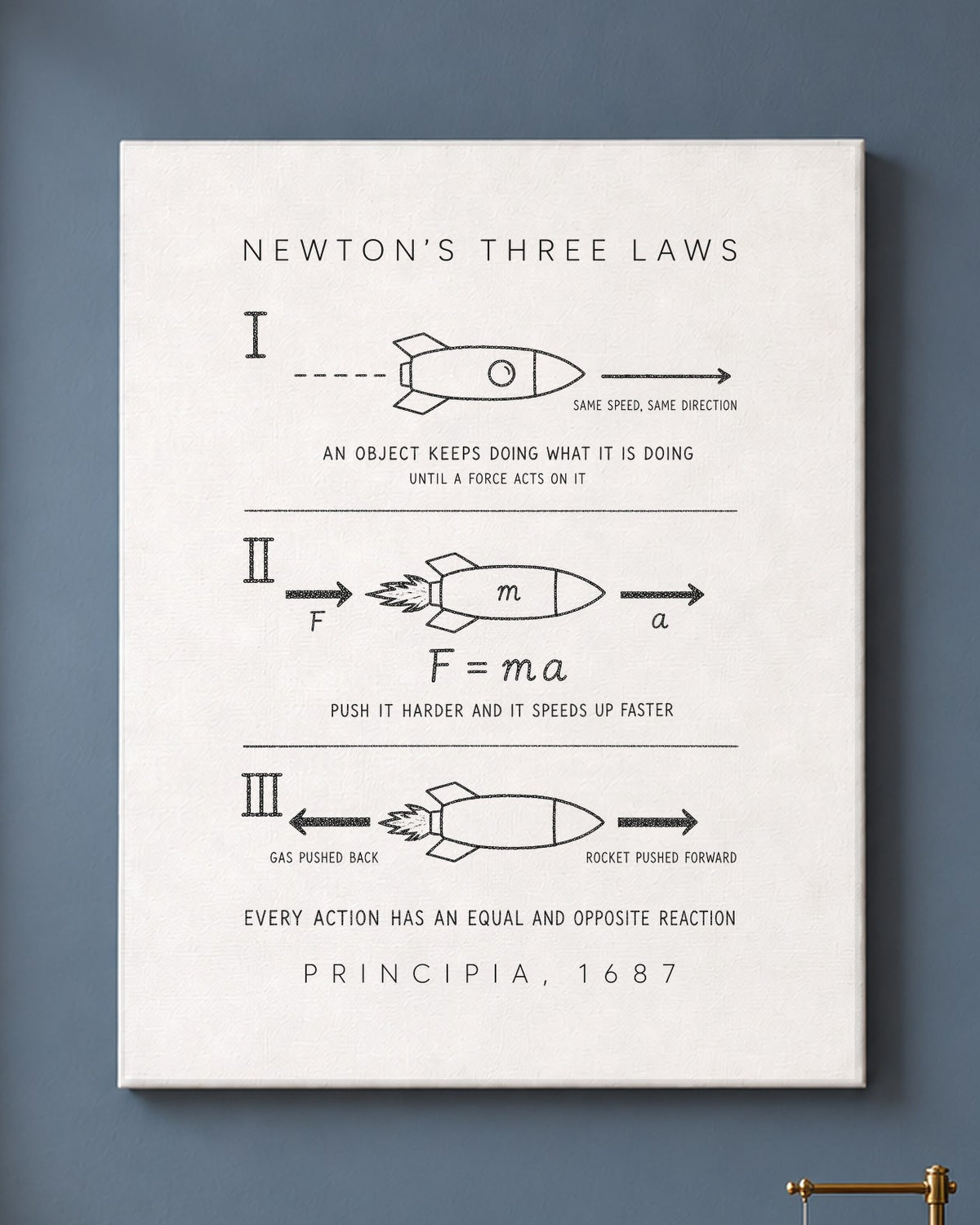Newton's Three Laws Canvas on a wall