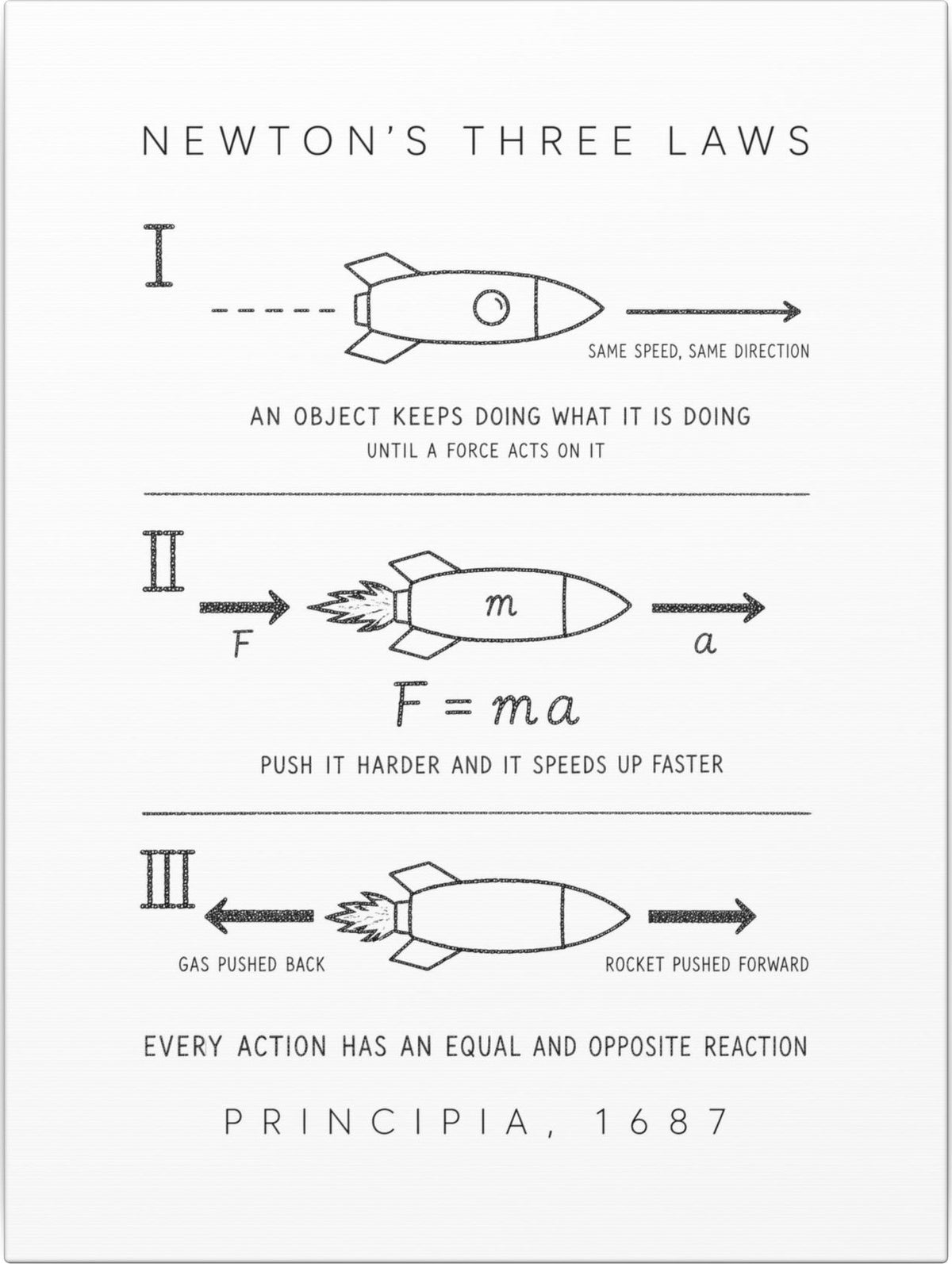Newton's Three Laws Canvas front