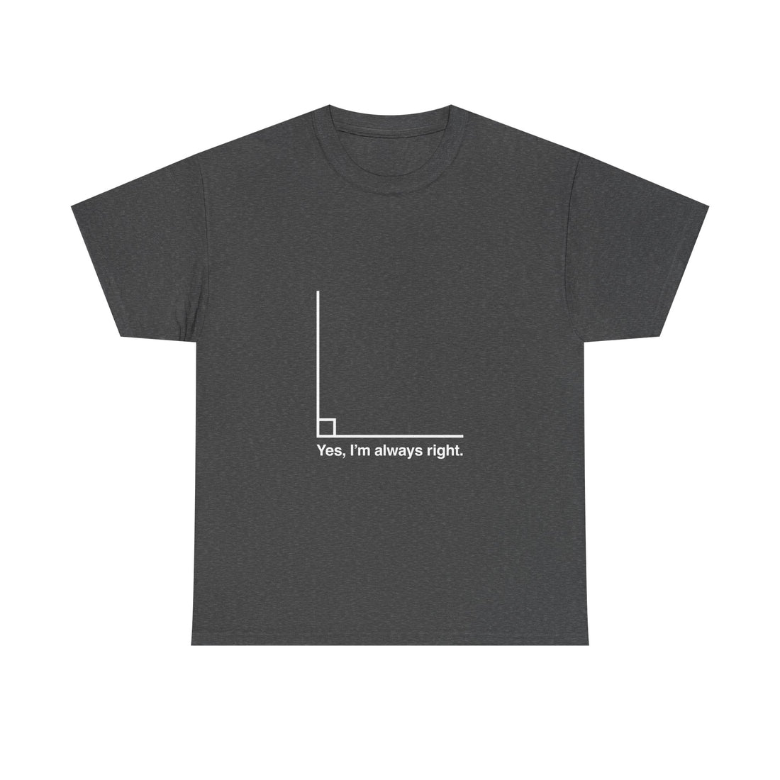 Funny Geek T-Shirt, Nerd Shirt, Math Humor Tee, Always Right Graph Shirt, Sarcastic Science Gift, Clever Joke Top, Geeky Casual Wear