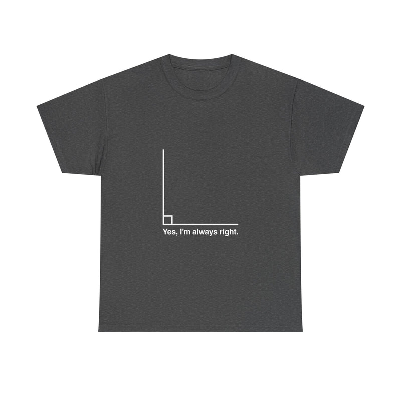 Funny Geek T-Shirt, Nerd Shirt, Math Humor Tee, Always Right Graph Shirt, Sarcastic Science Gift, Clever Joke Top, Geeky Casual Wear