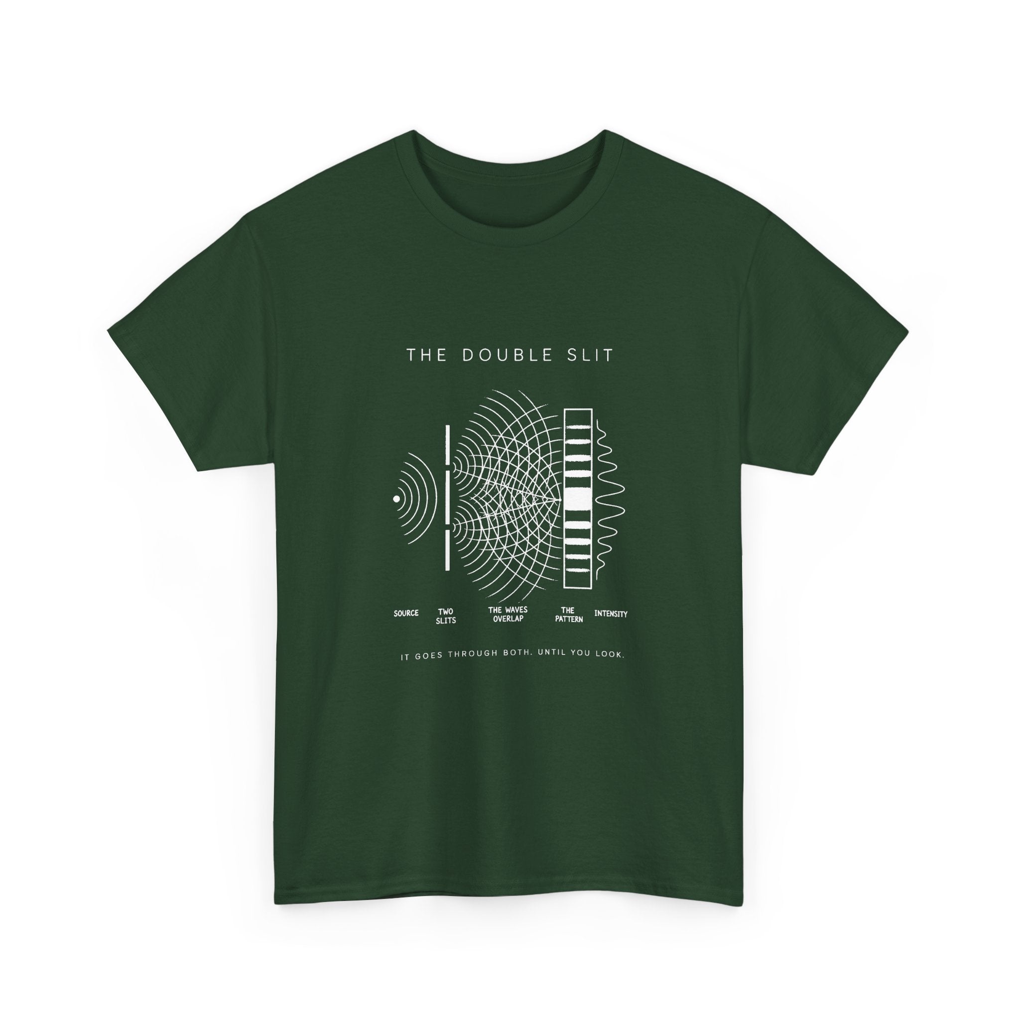 The Double Slit