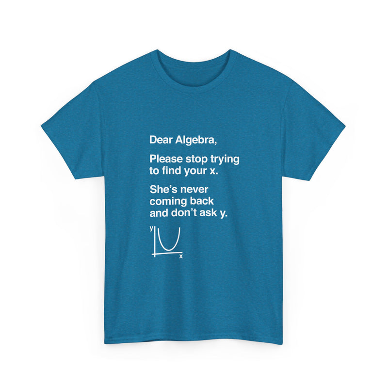 Funny Algebra T-Shirt, Math Humor Tee, Geek T-Shirt, Nerd Shirt, Sarcastic Science Gift, Educational Joke Top, Student Study Shirt