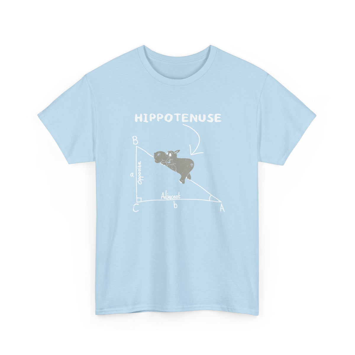Geometry Hippotenuse