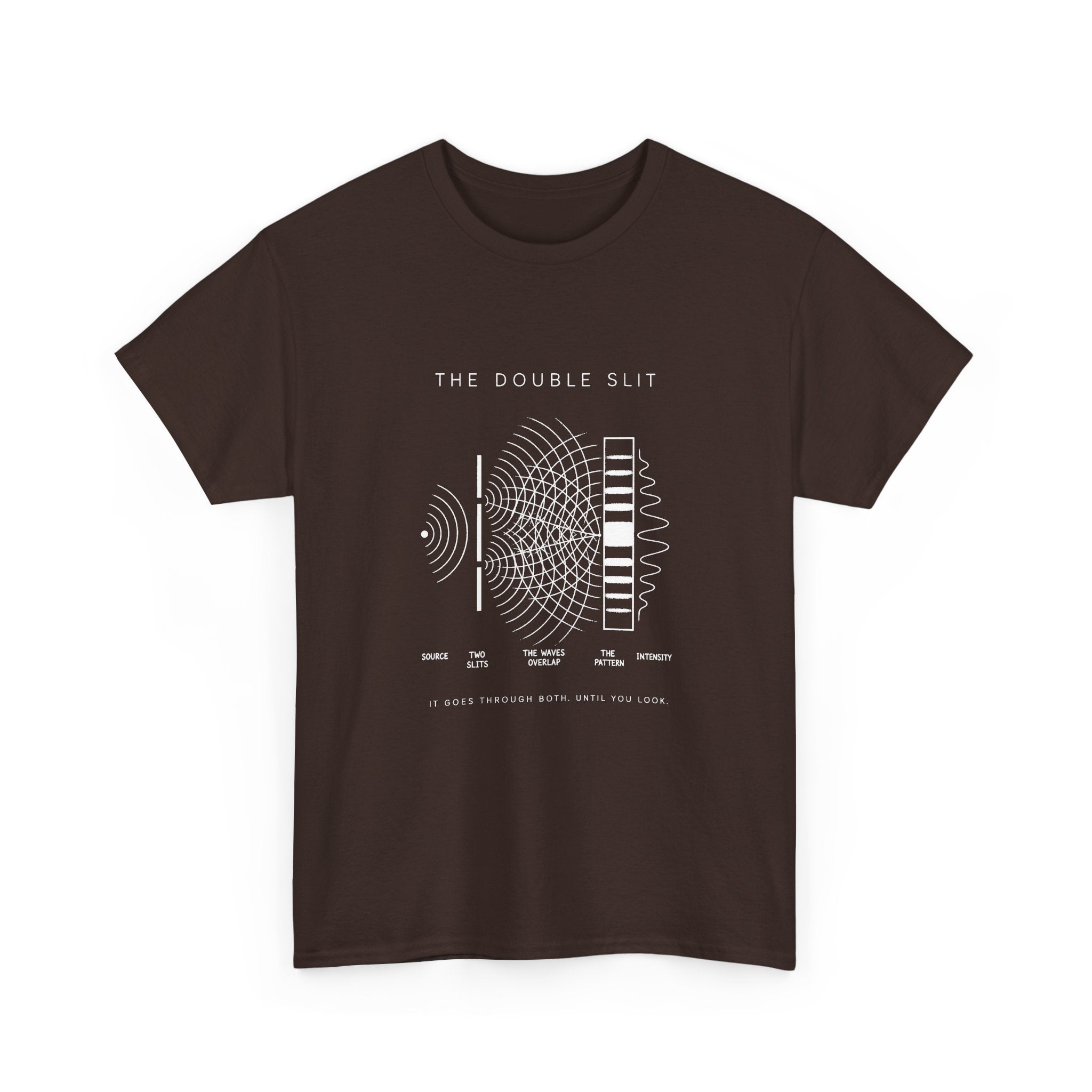 The Double Slit