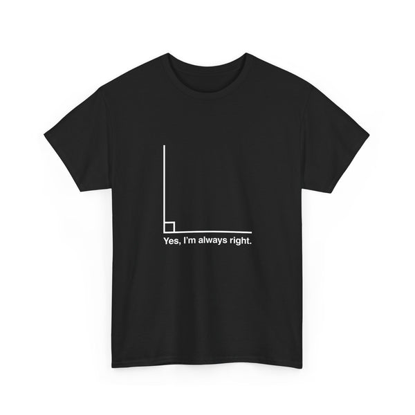 Funny Geek T-Shirt, Nerd Shirt, Math Humor Tee, Always Right Graph Shirt, Sarcastic Science Gift, Clever Joke Top, Geeky Casual Wear