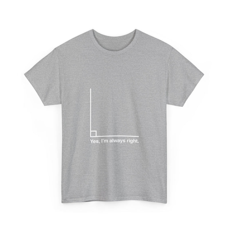 Funny Geek T-Shirt, Nerd Shirt, Math Humor Tee, Always Right Graph Shirt, Sarcastic Science Gift, Clever Joke Top, Geeky Casual Wear