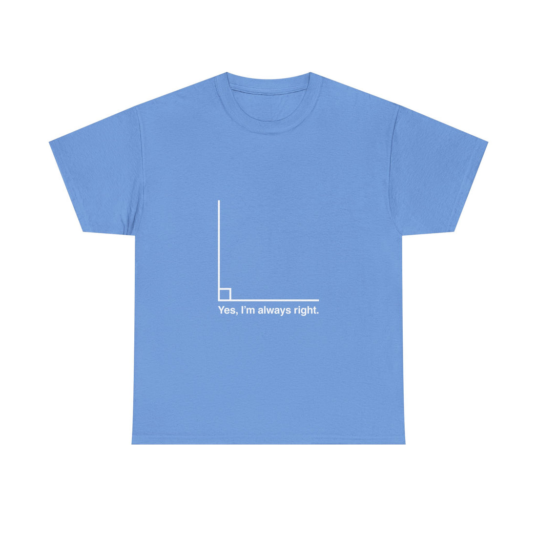 Funny Geek T-Shirt, Nerd Shirt, Math Humor Tee, Always Right Graph Shirt, Sarcastic Science Gift, Clever Joke Top, Geeky Casual Wear