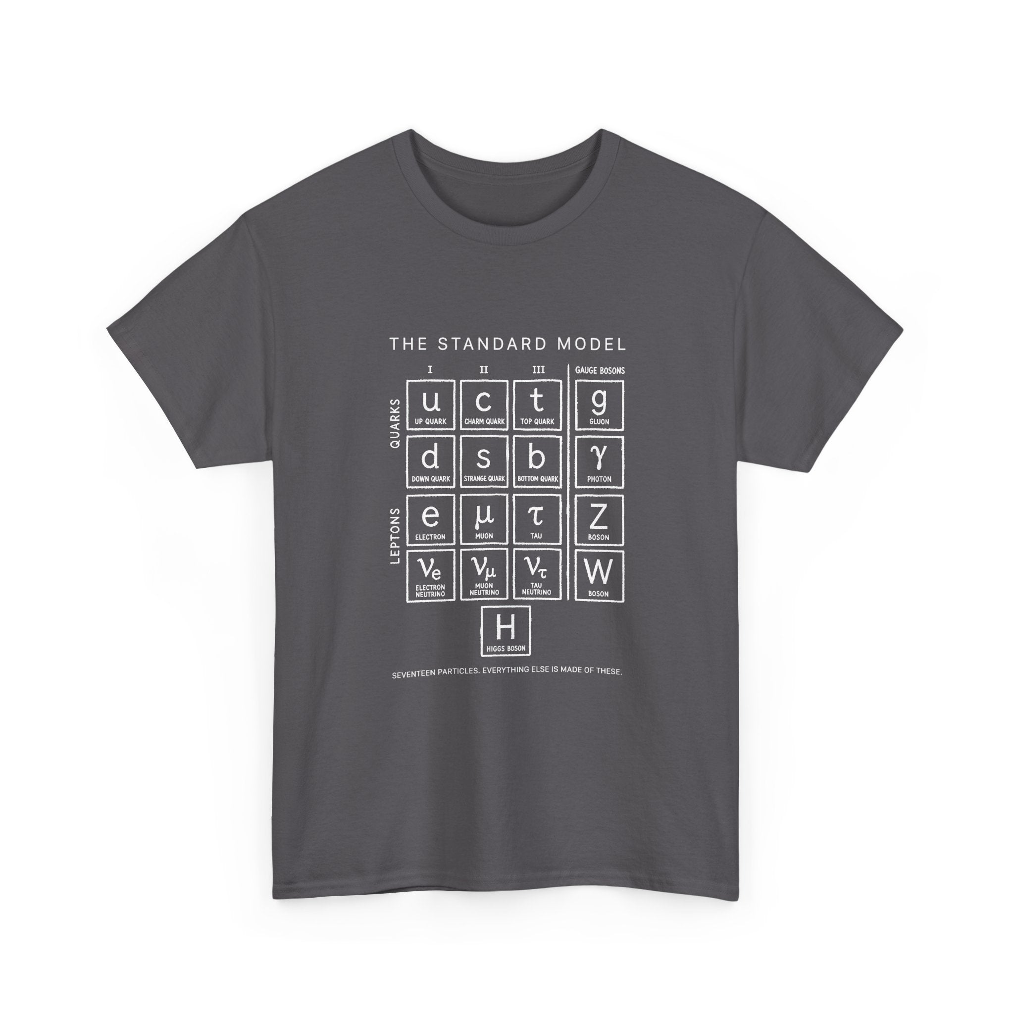The Standard Model