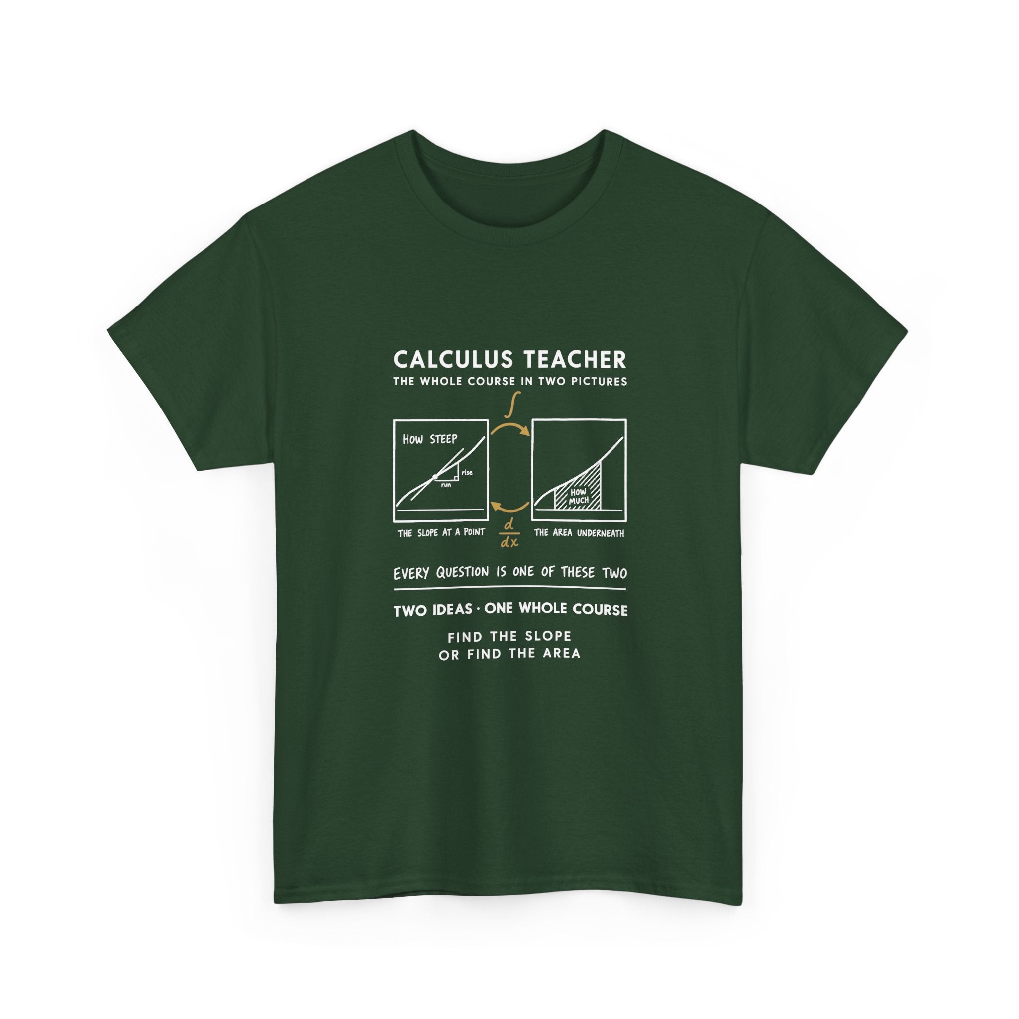 Calculus Teacher