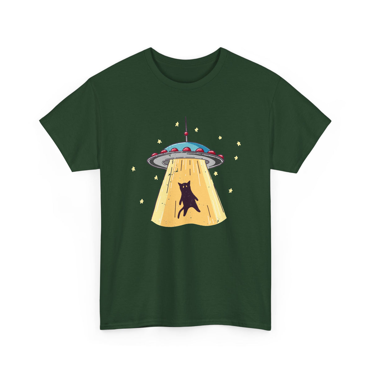 Cat UFO Abduction