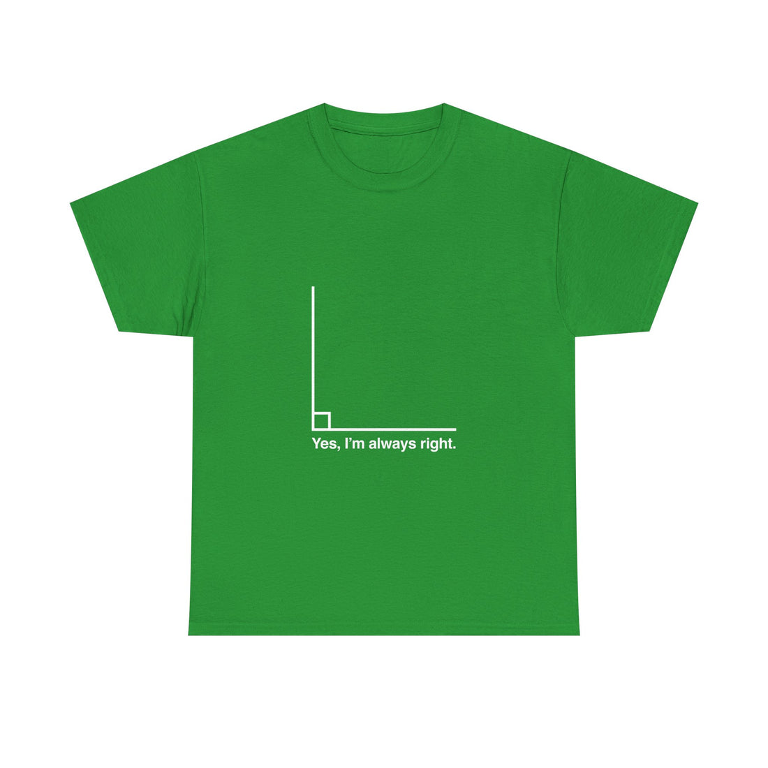 Funny Geek T-Shirt, Nerd Shirt, Math Humor Tee, Always Right Graph Shirt, Sarcastic Science Gift, Clever Joke Top, Geeky Casual Wear