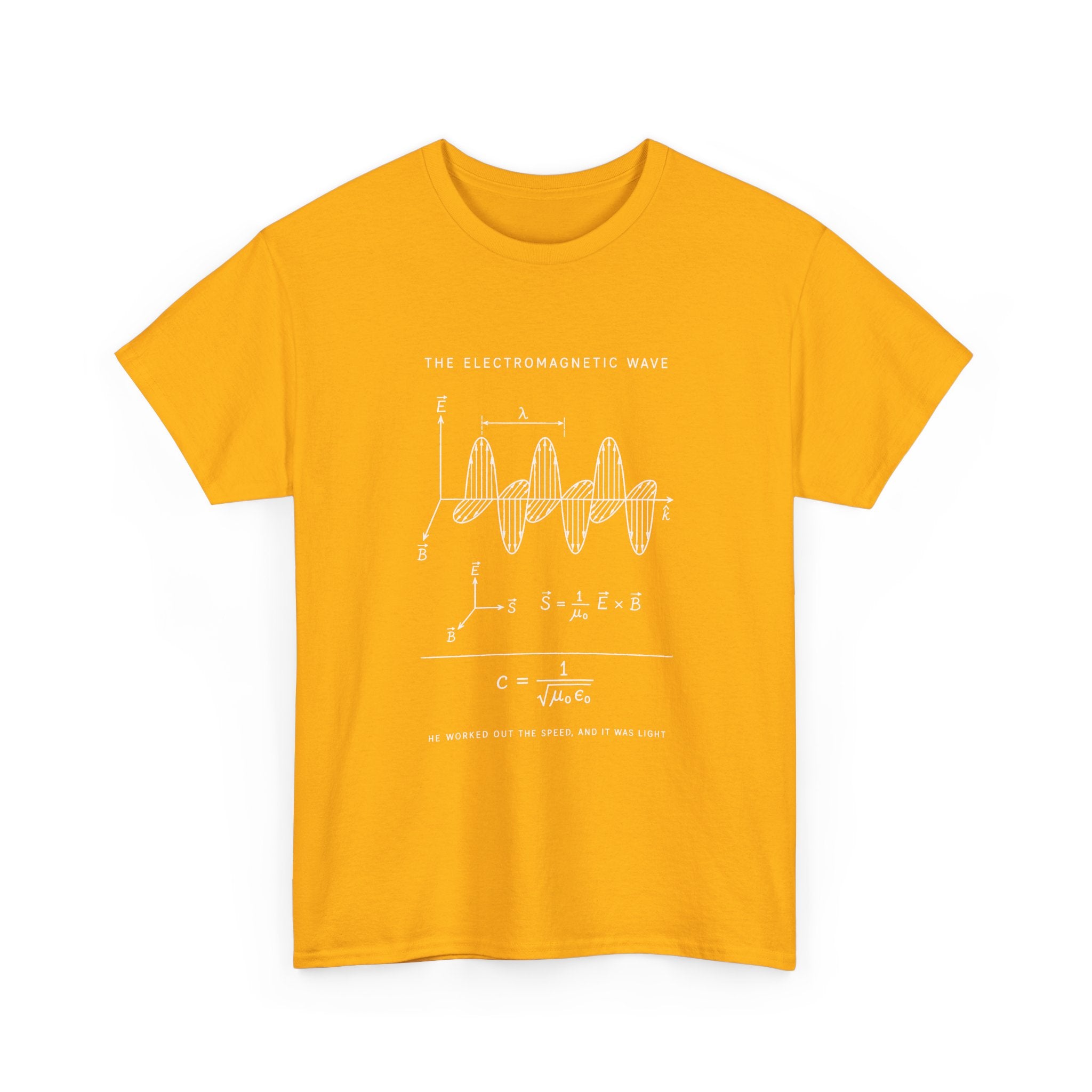 The Electromagnetic Wave