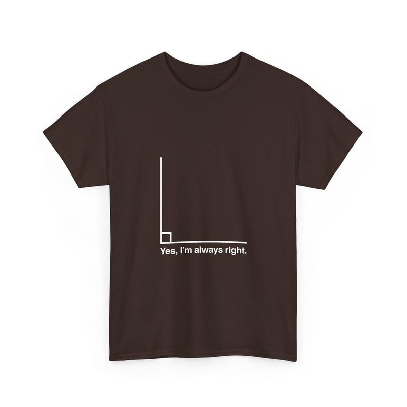 Funny Geek T-Shirt, Nerd Shirt, Math Humor Tee, Always Right Graph Shirt, Sarcastic Science Gift, Clever Joke Top, Geeky Casual Wear