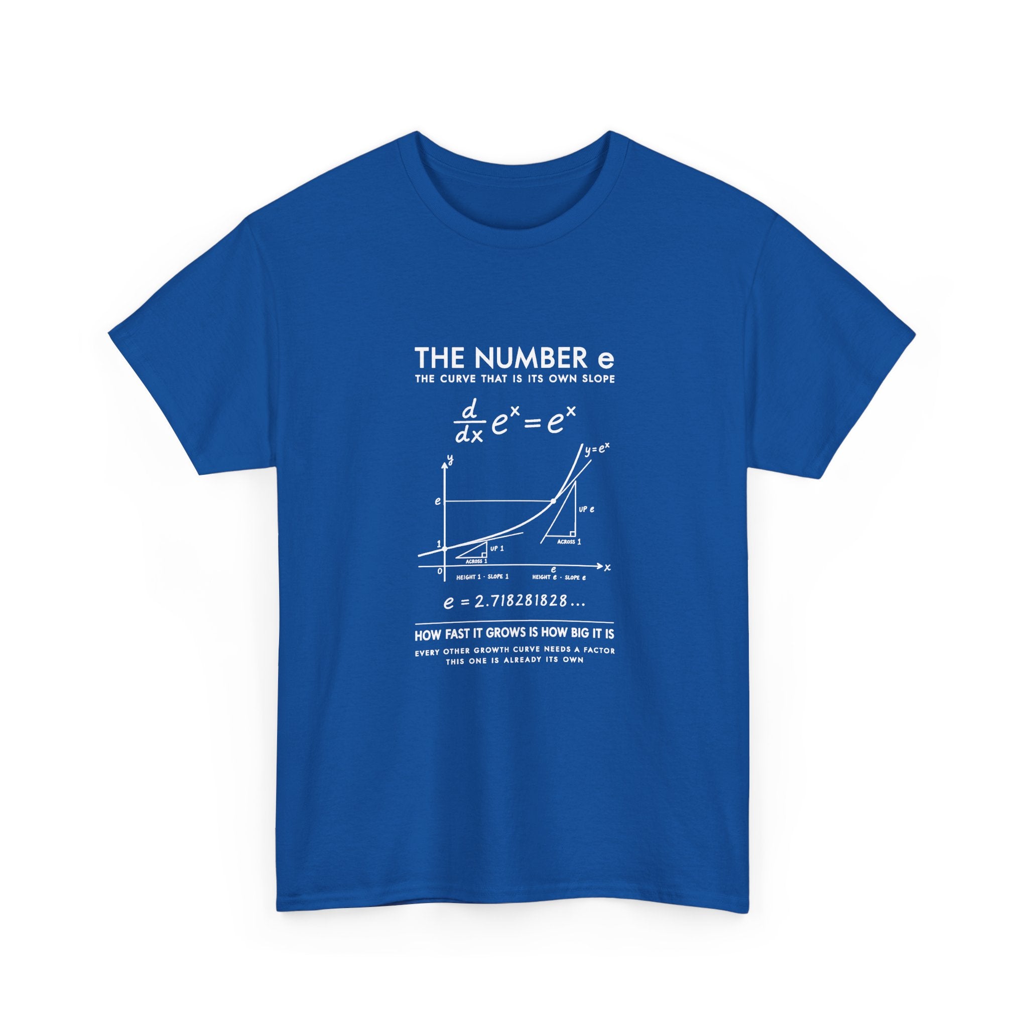 The Number e