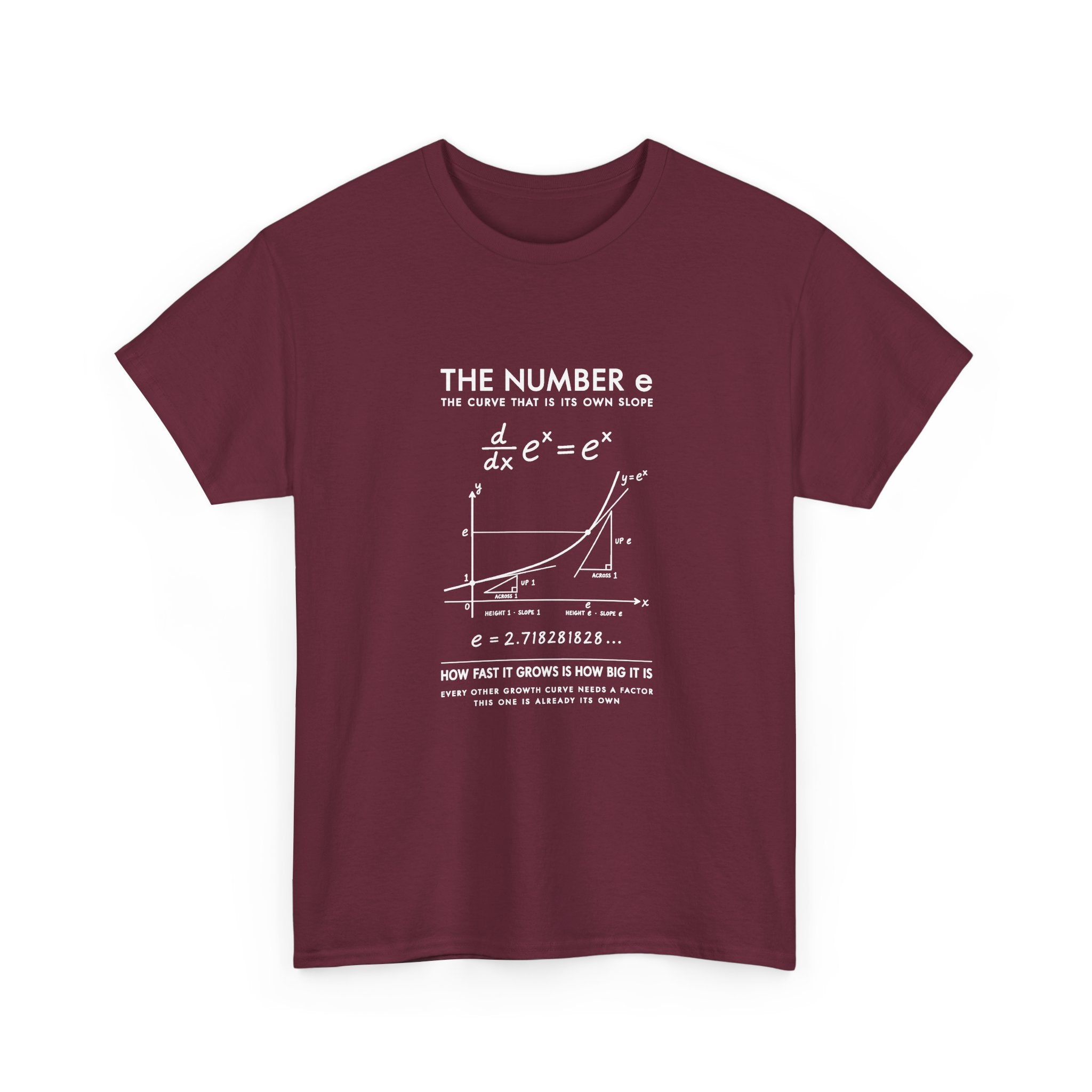 The Number e